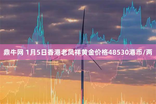 鼎牛网 1月5日香港老凤祥黄金价格48530港币/两